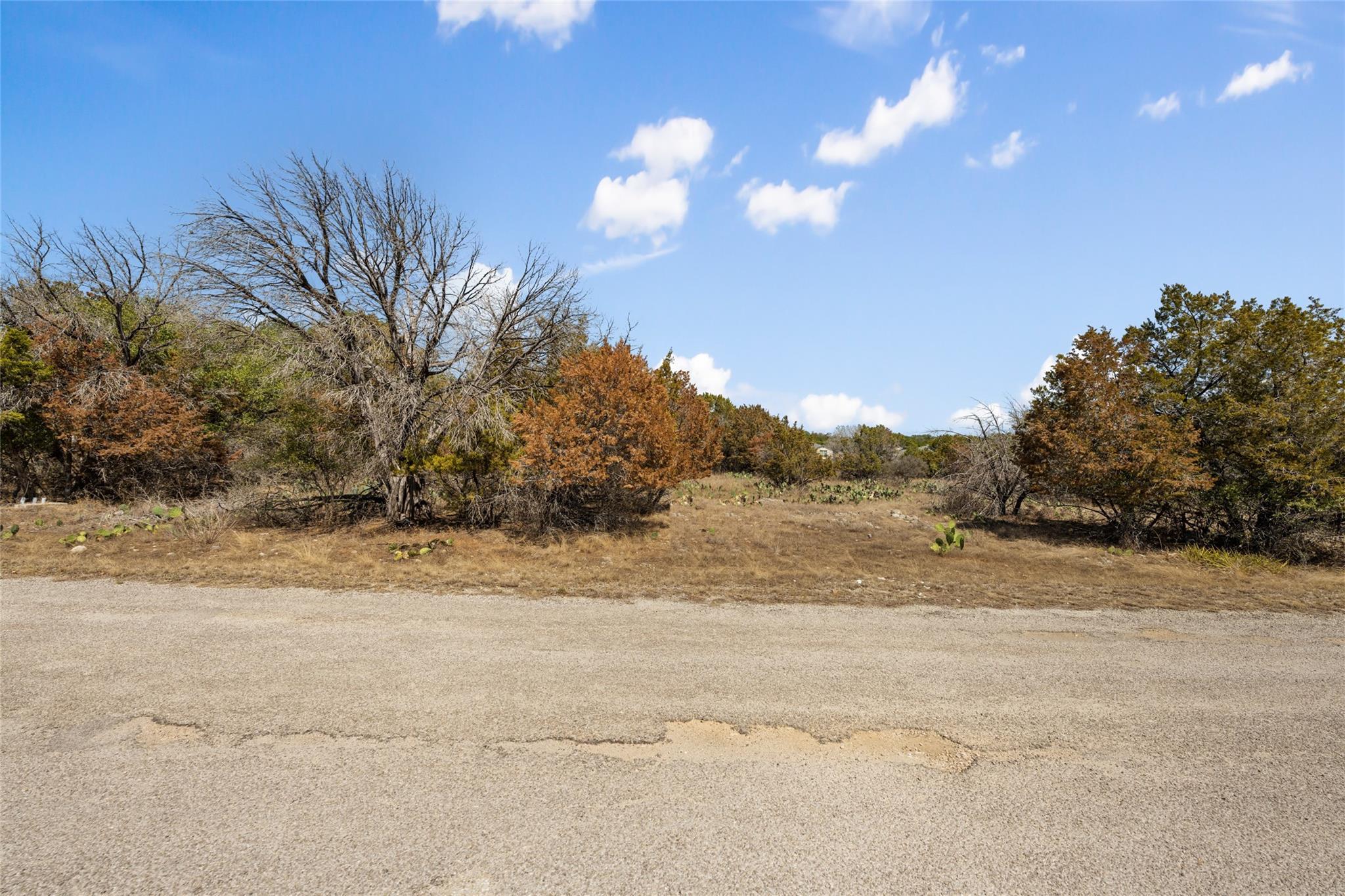 Mature trees and native vegetation line the edge 