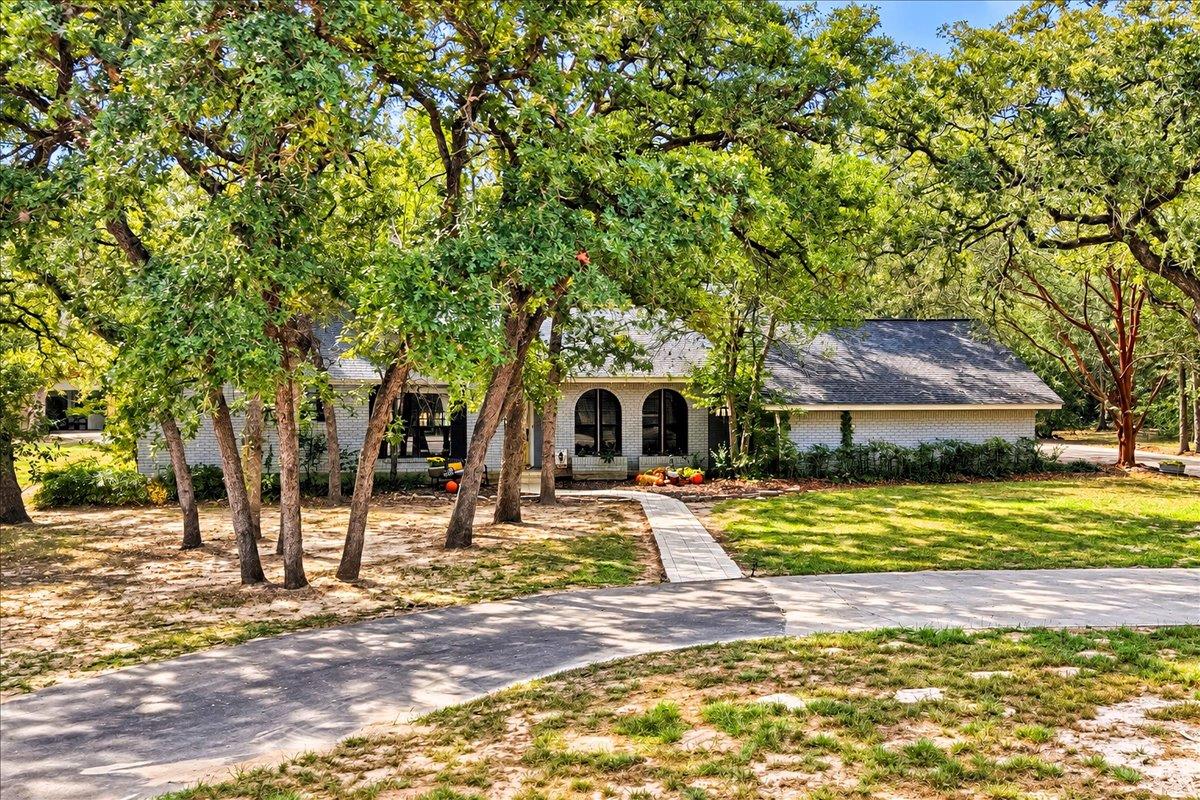 Mature shade trees frame a paved driveway leading