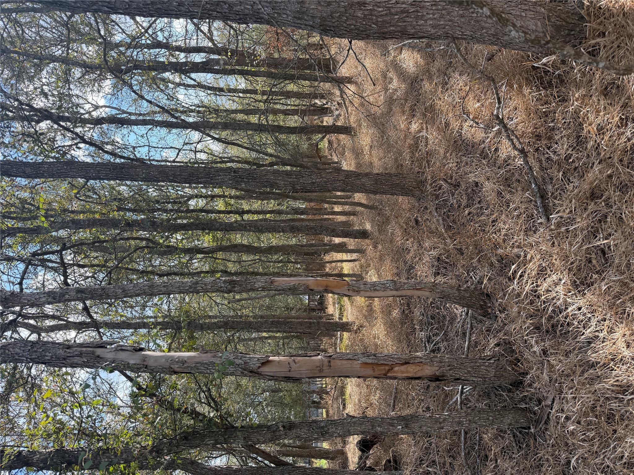 Mature trees blanket this serene, naturally woode