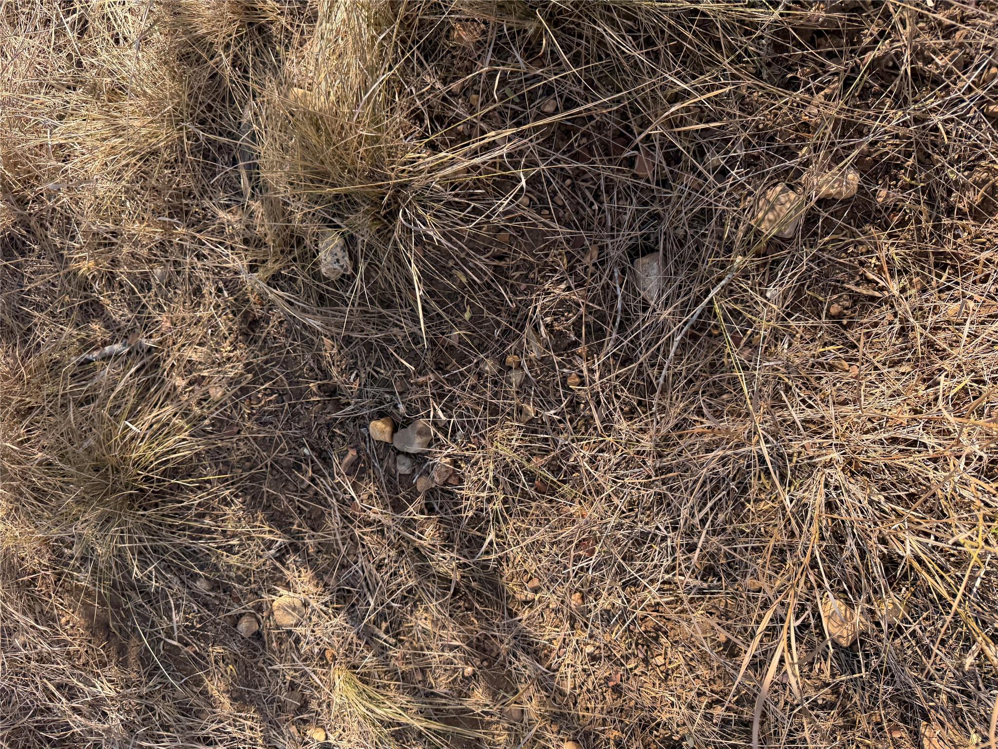 Natural terrain and native grasses cover the grou