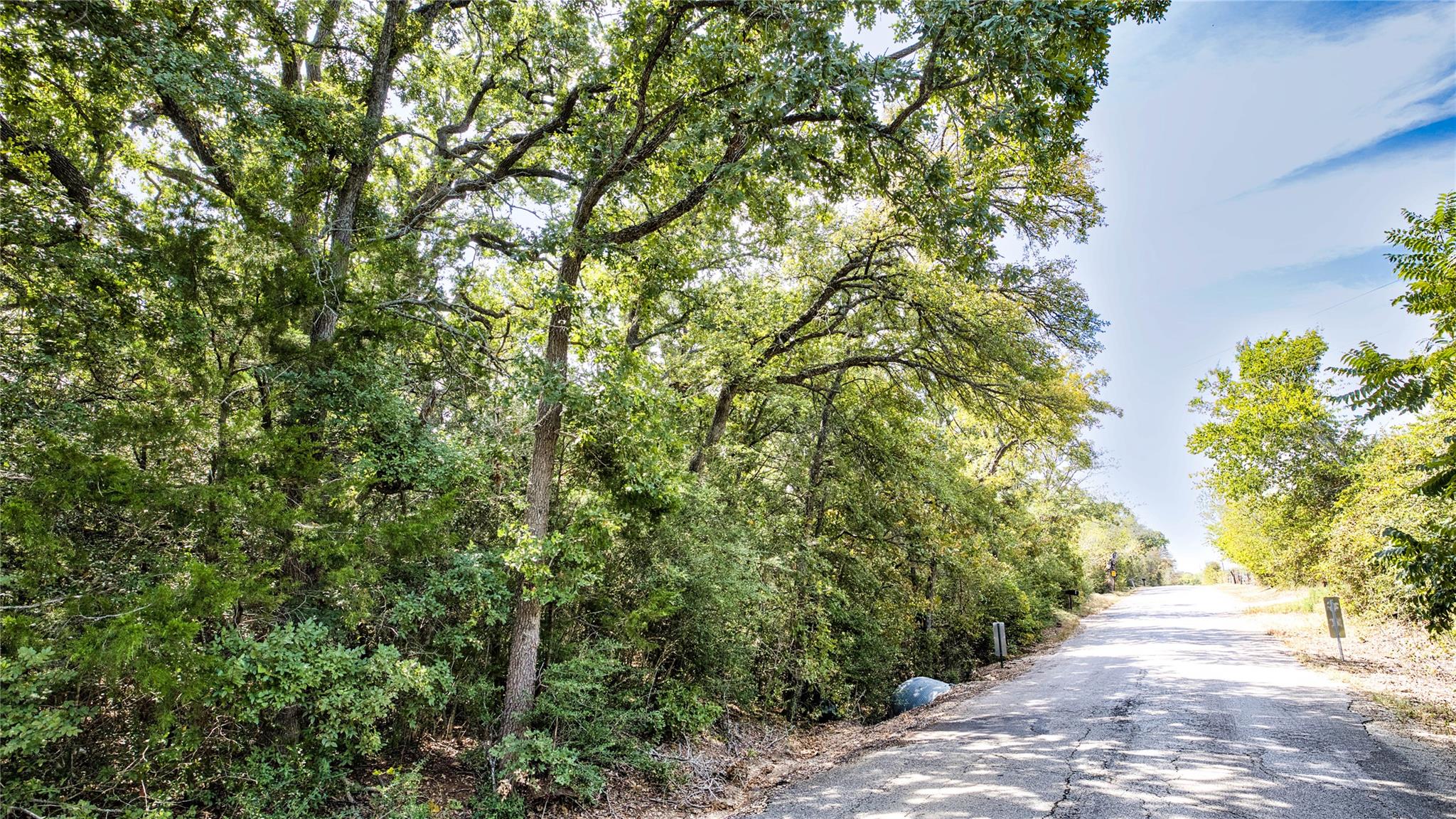 Mature trees frame a quiet paved road bordering t