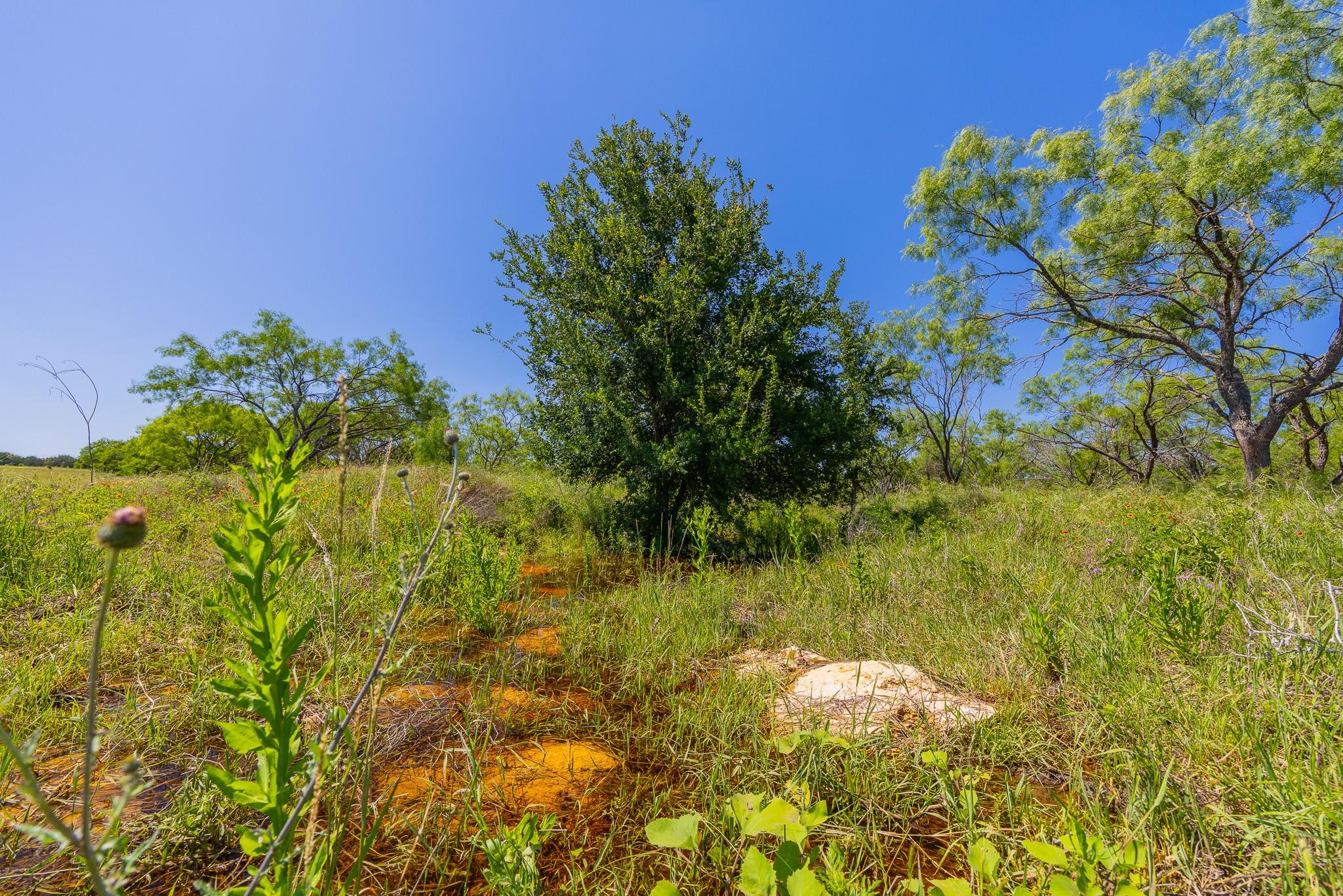 Listing photo 1 of TBD Hidden Pond Ranch  County Road 180 Rd