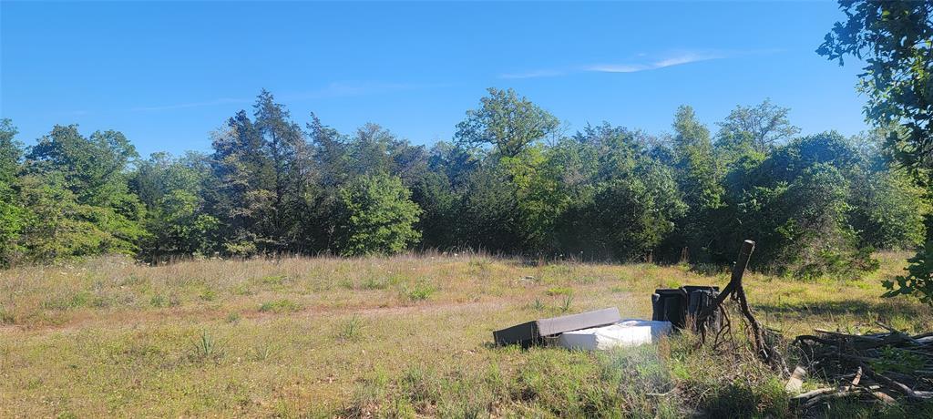 Mature trees frame a grassy clearing under a clea