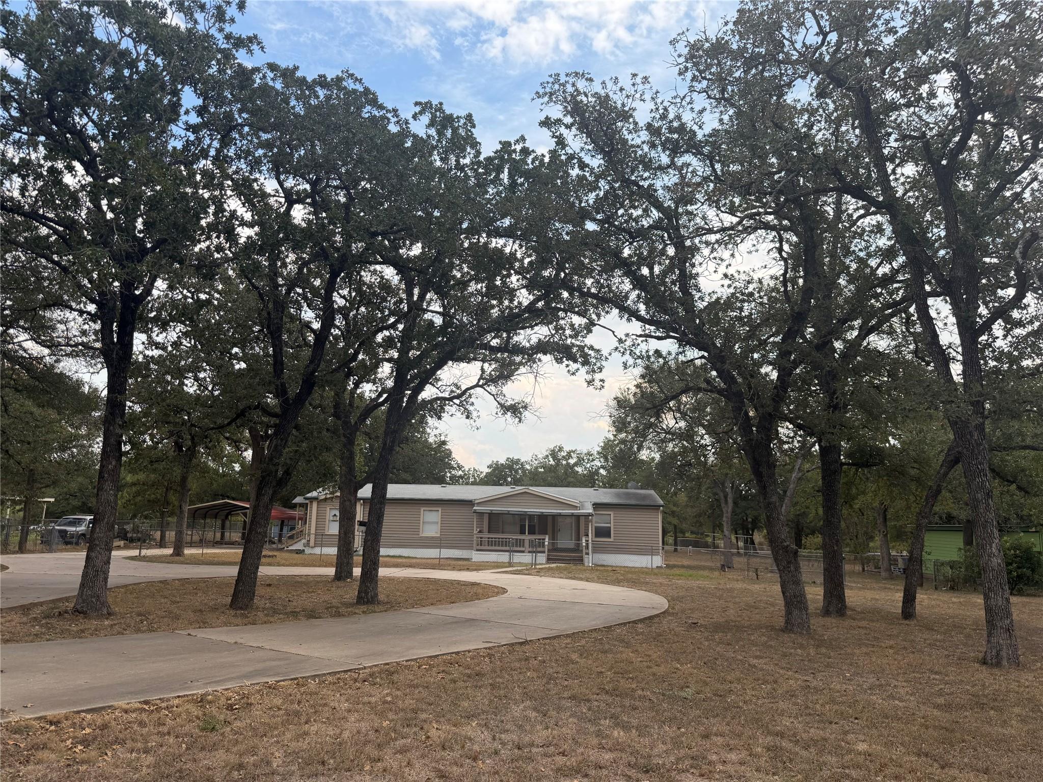 Mature oak trees frame a sweeping concrete drivew