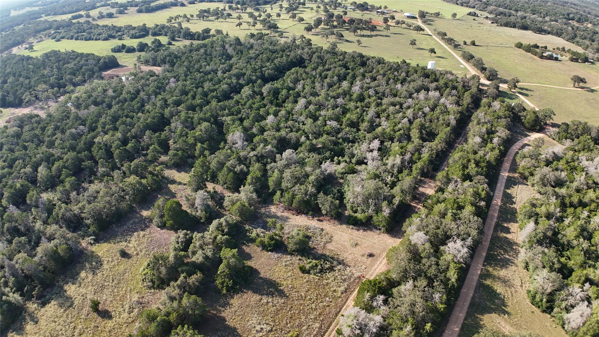 Mature woodlands and open pastures define this ro