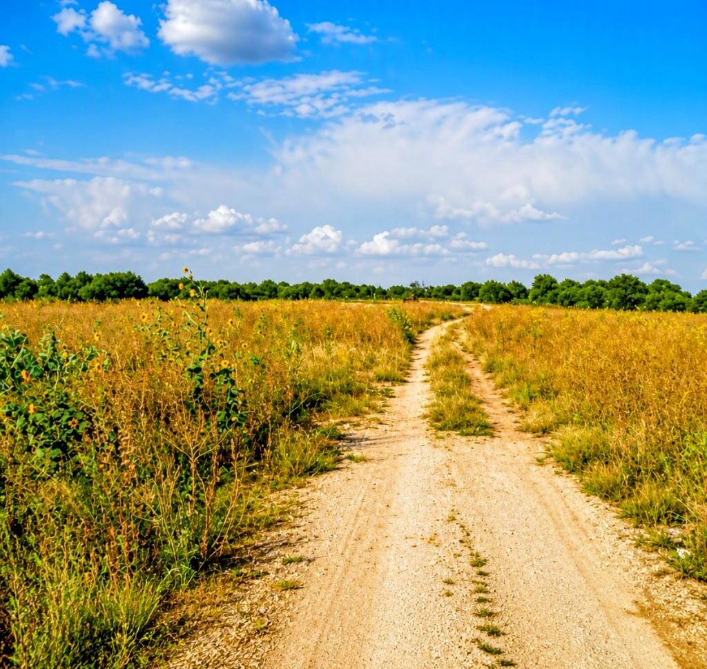 An unpaved pathway winds through expansive open f