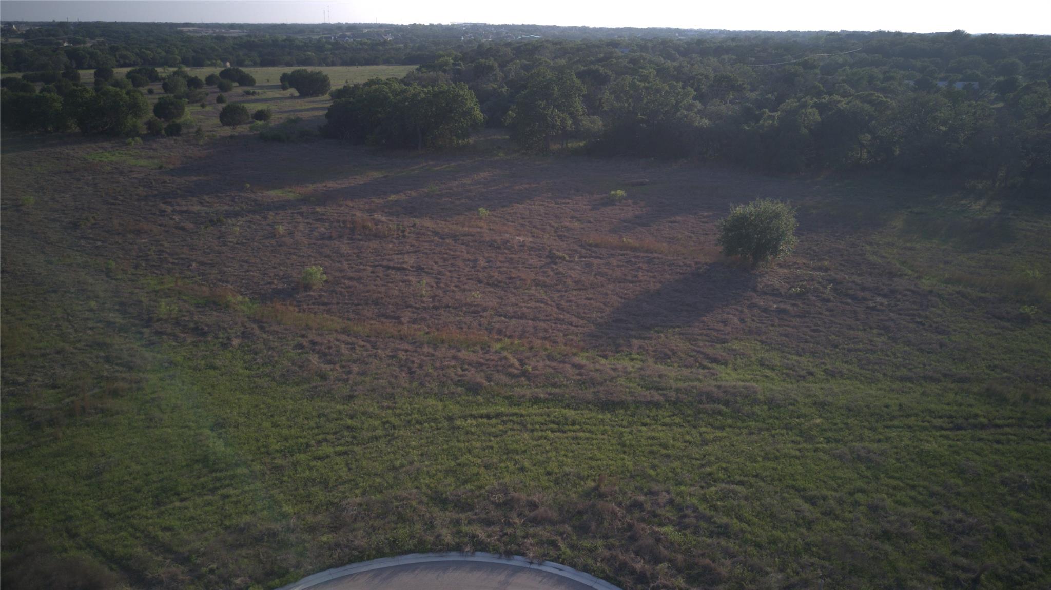 Rolling green meadows stretch toward mature woodl