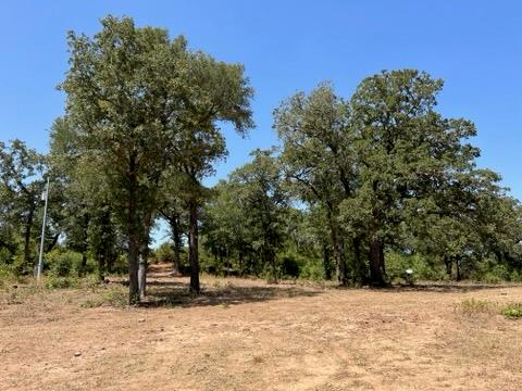 Mature trees frame a cleared building site on thi