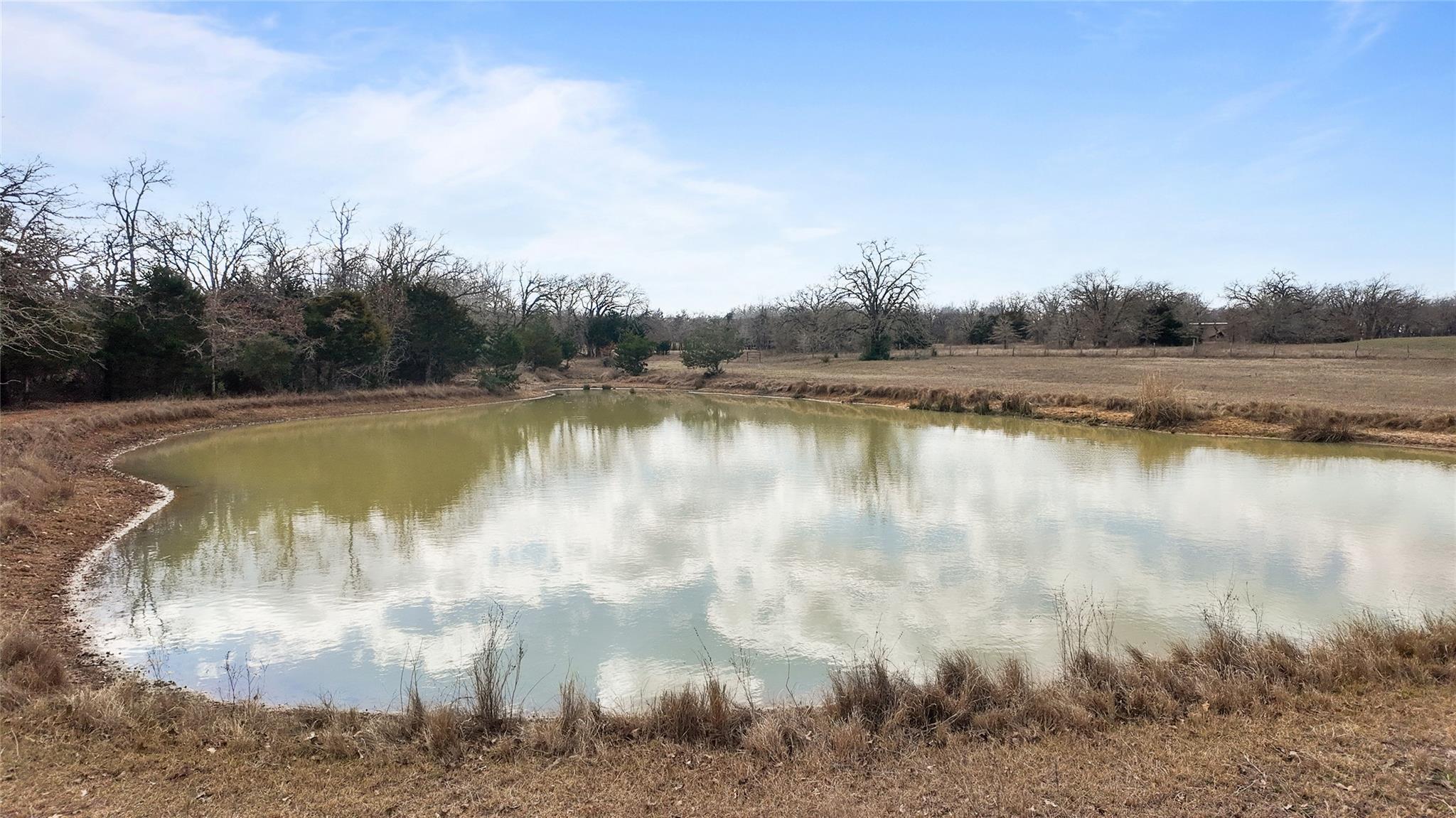 A tranquil pond sits nestled among rolling pastur