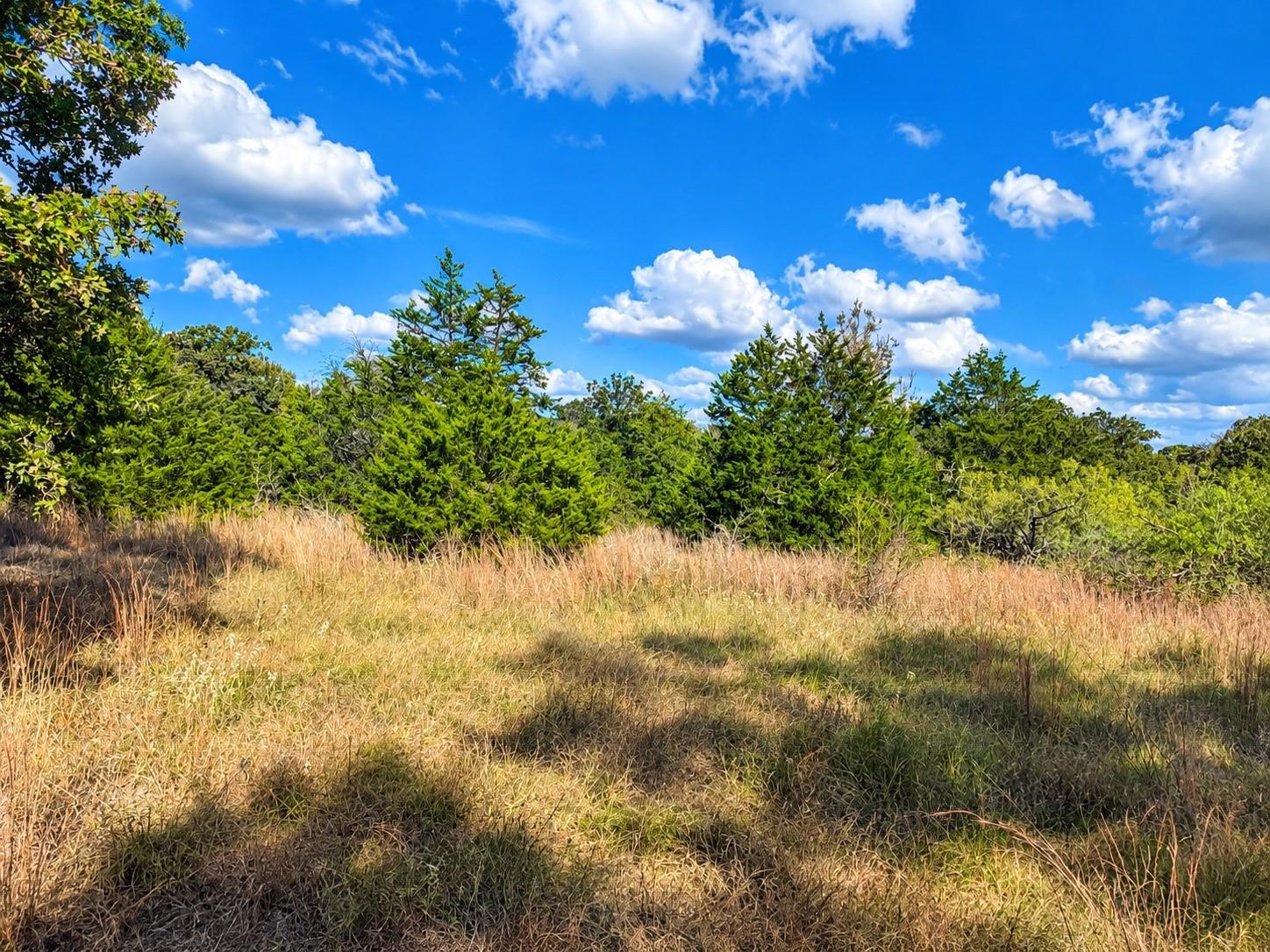 Mature trees and open grassy areas frame this tra