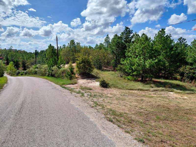 Mature trees and natural vegetation line the appr