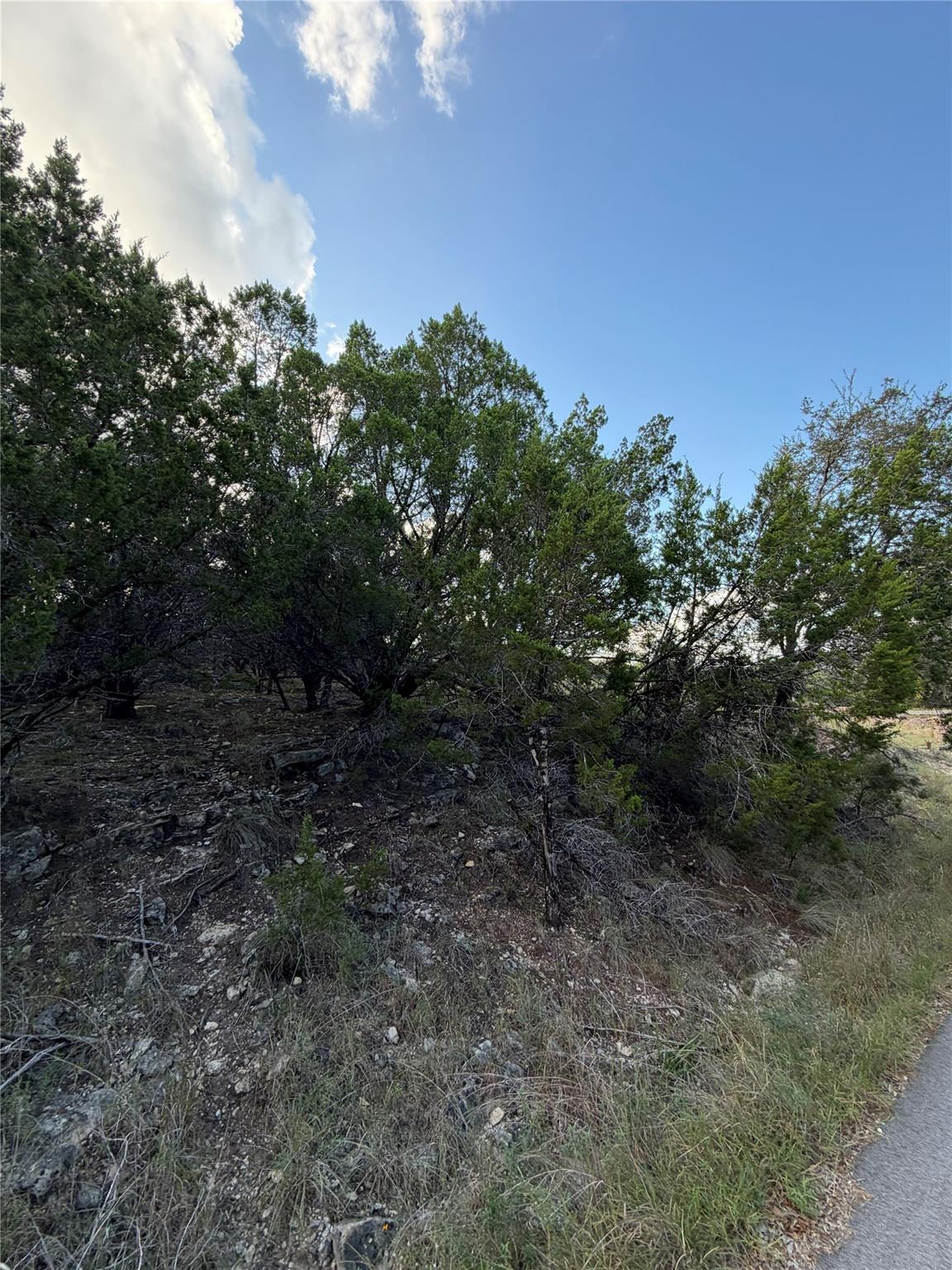 Mature trees and native vegetation cover the gent