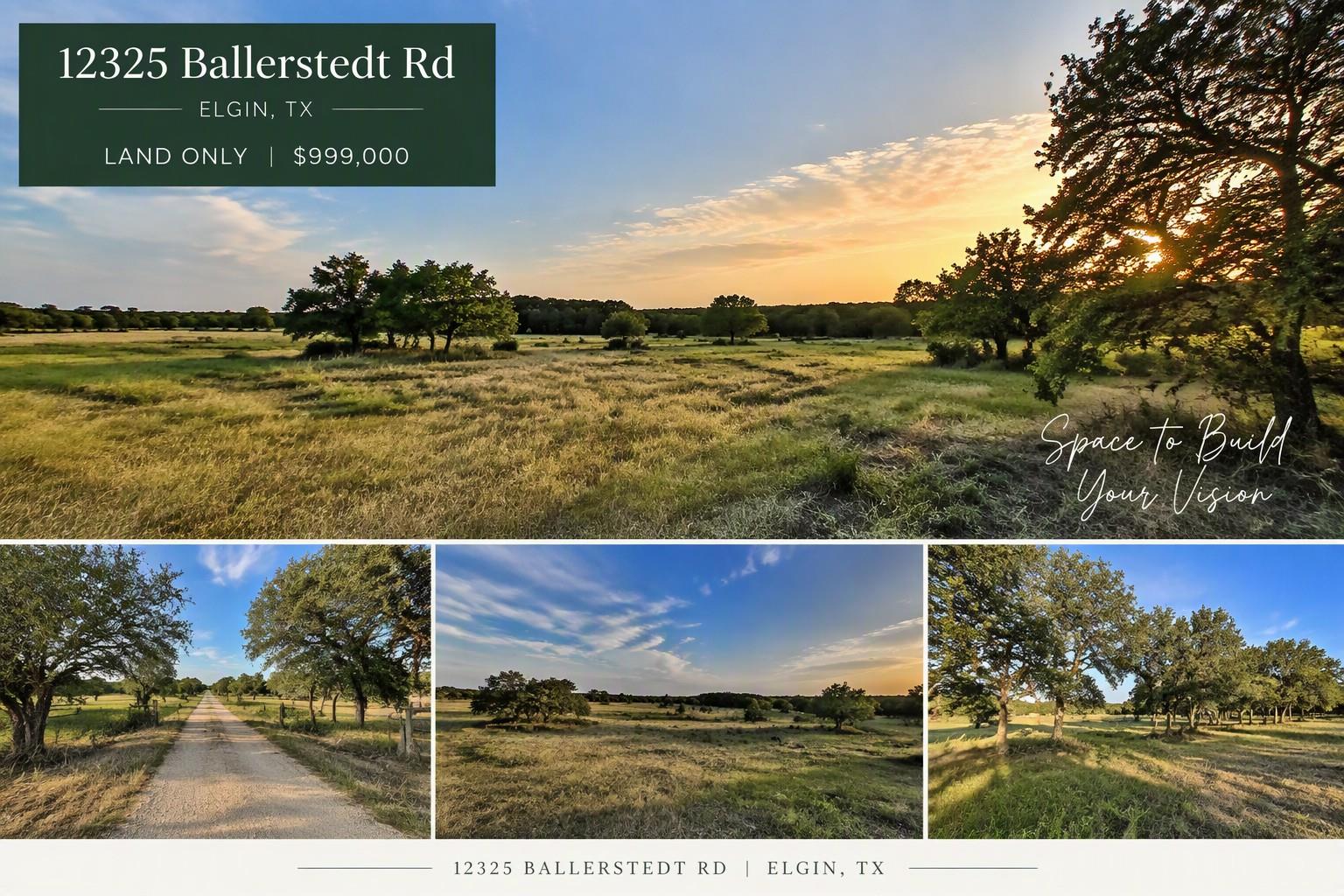 Expansive pastures punctuated by mature trees off