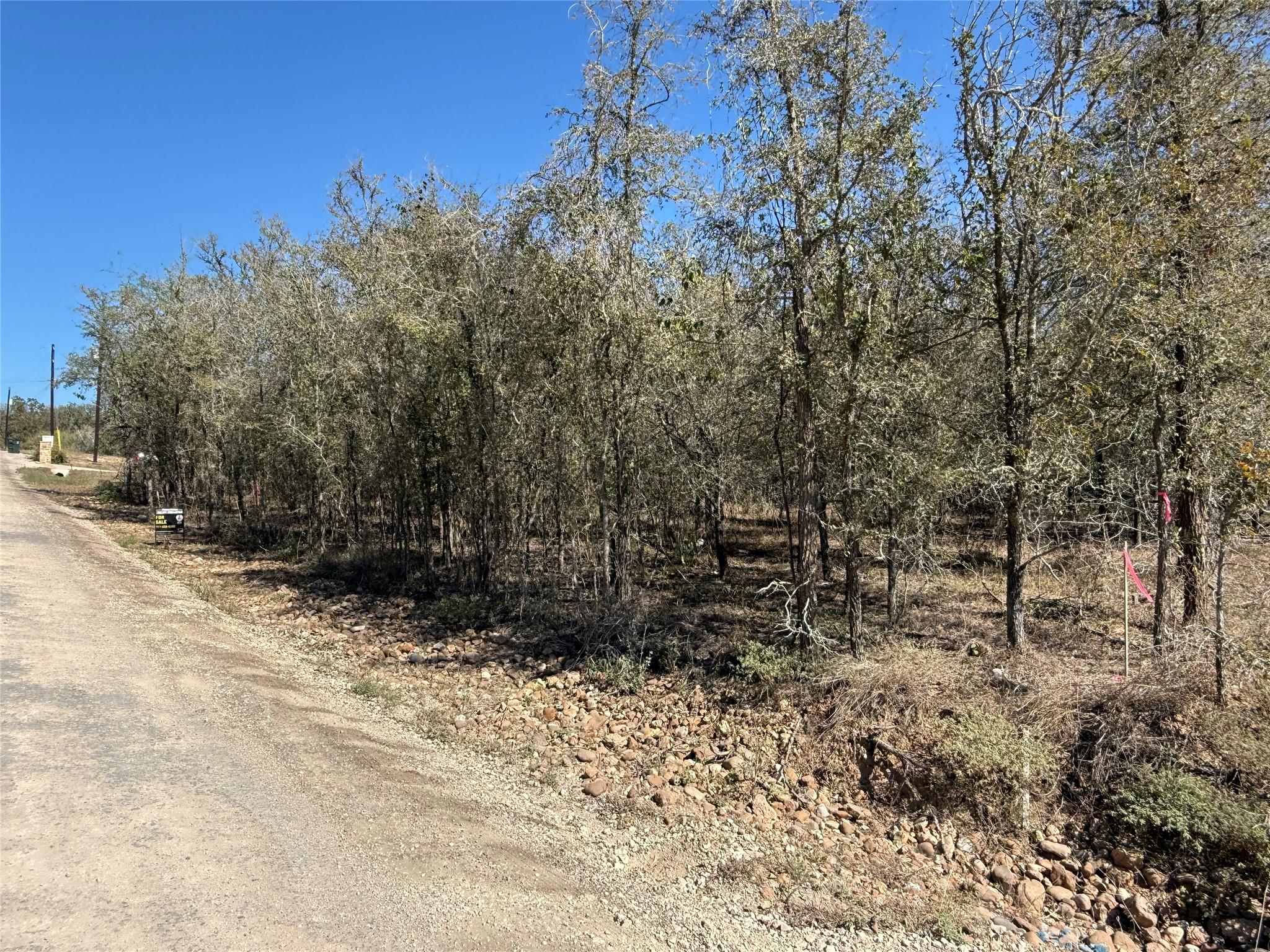 Mature trees and natural stone borders frame this