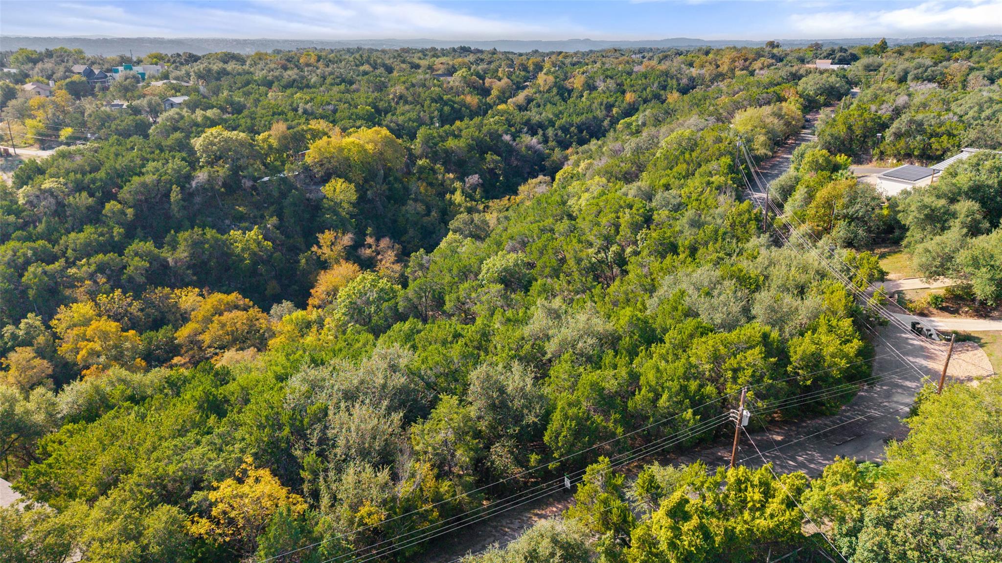 A lush canyon landscape of mature trees framing p