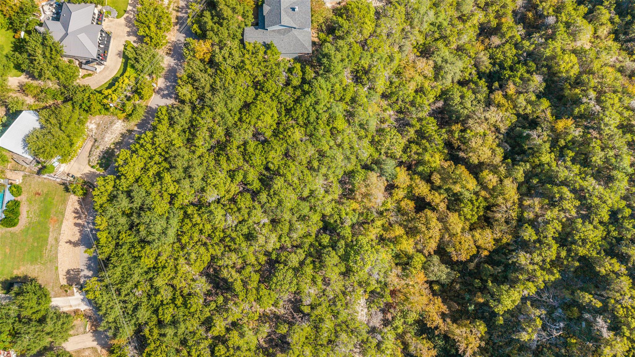 Dense woodland wraps around neighboring homes in 