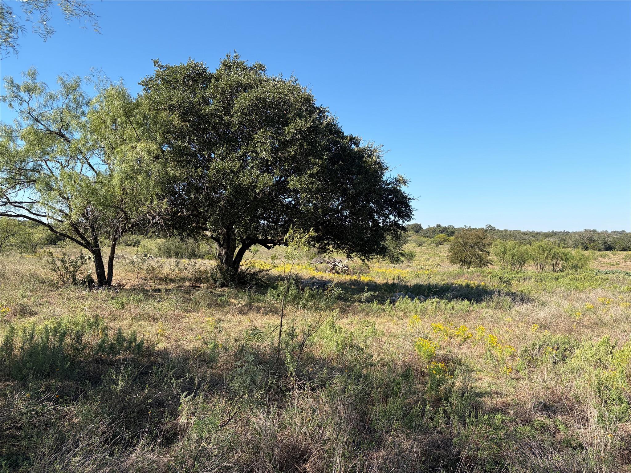 Mature shade trees dot the rolling terrain of thi