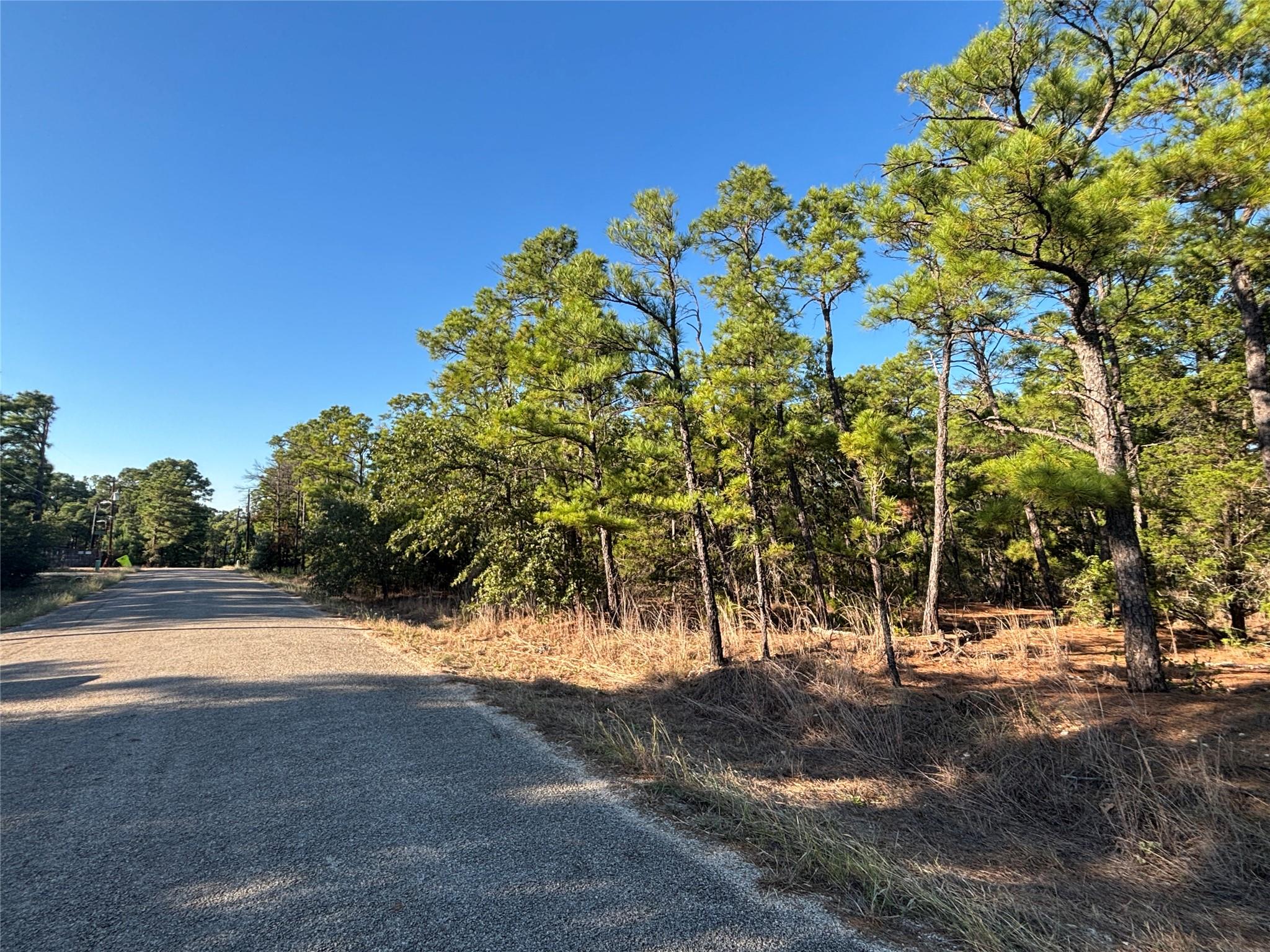 Listing photo 1 of TBD  Pine Cone Dr