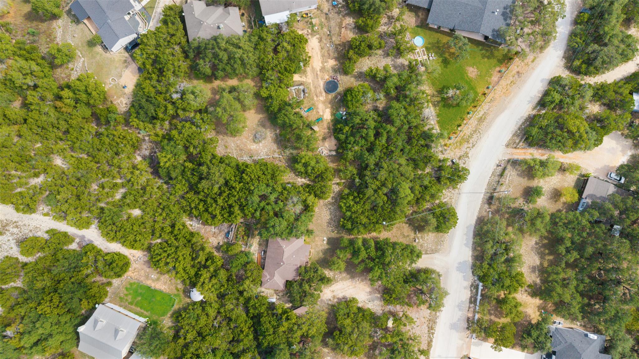 Mature trees surround properties along a quiet ro