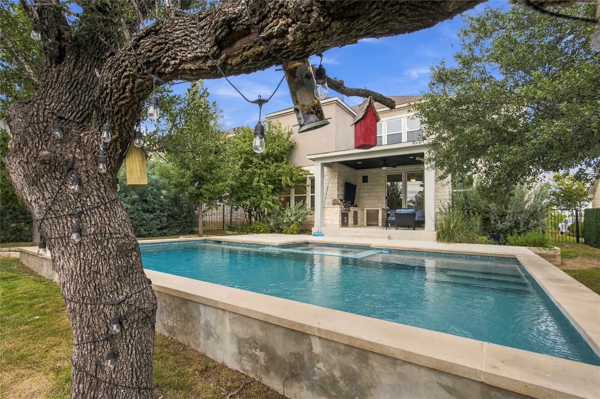 Mature trees frame a modern swimming pool and sha