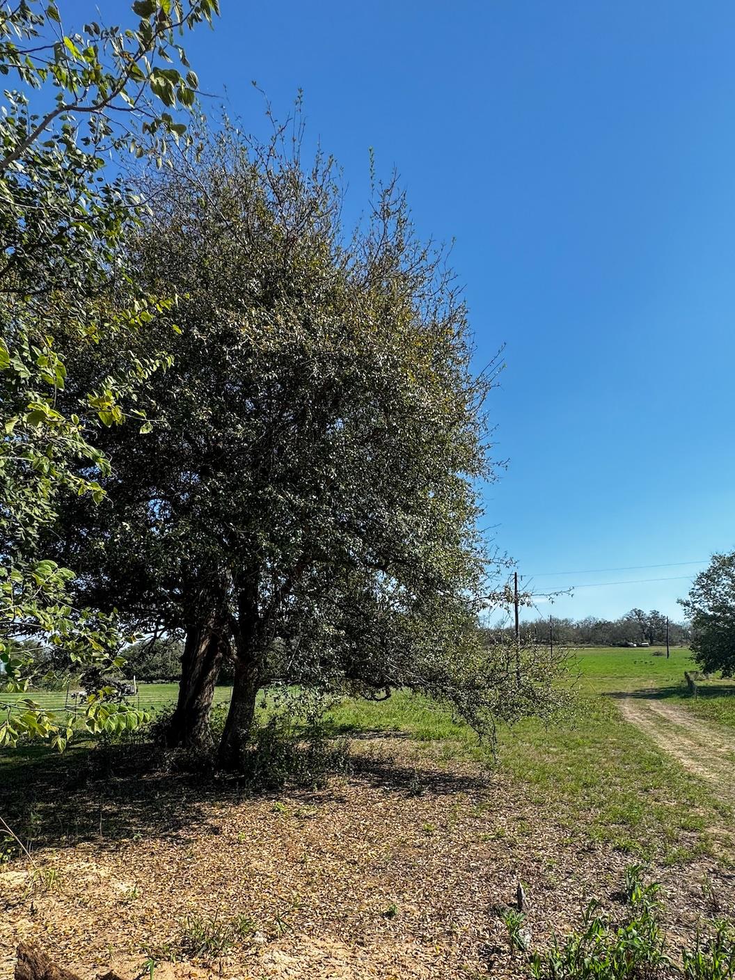 Listing photo 1 of 127  Hall Rd
