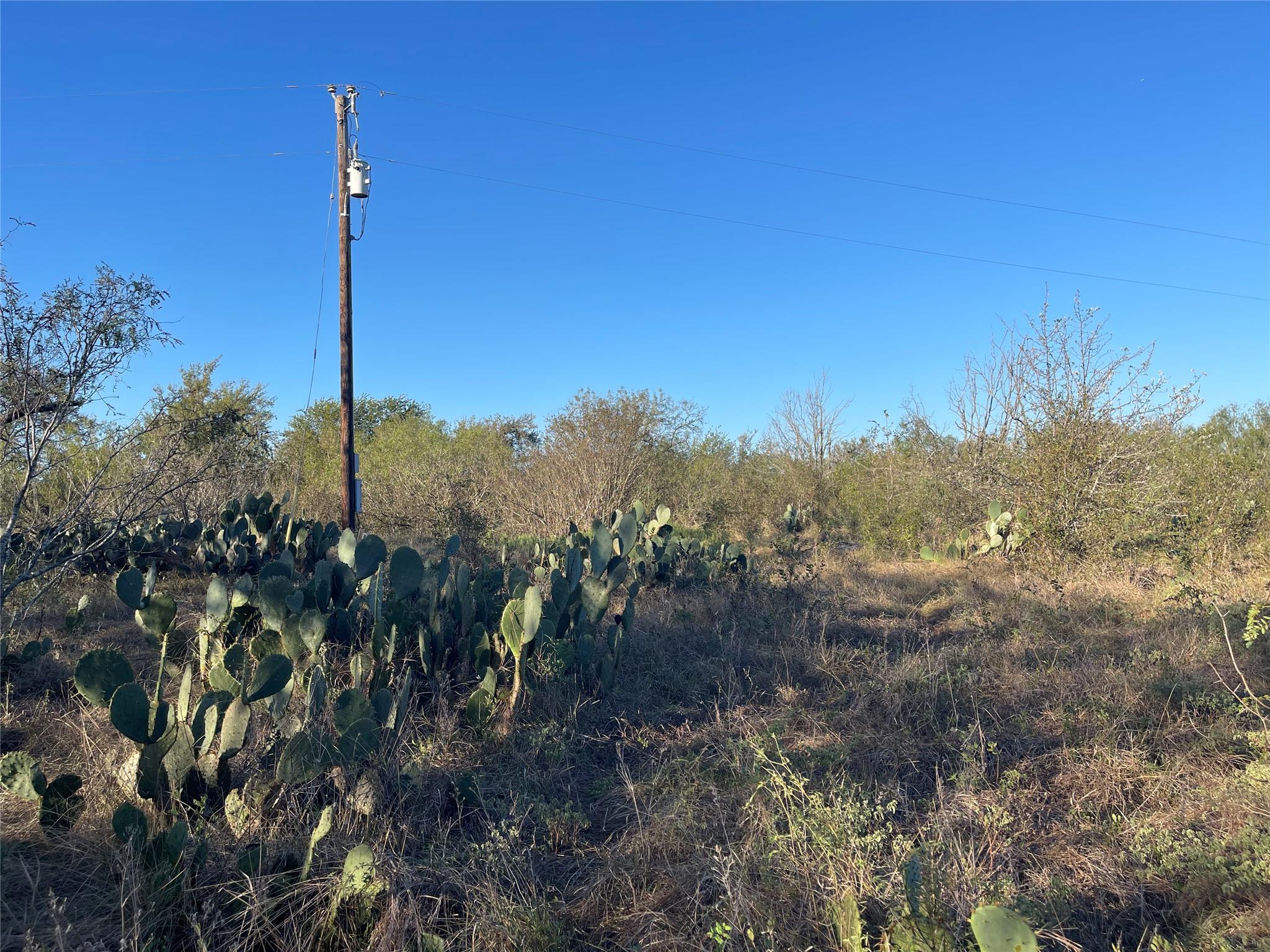 Natural desert vegetation and native cacti span a