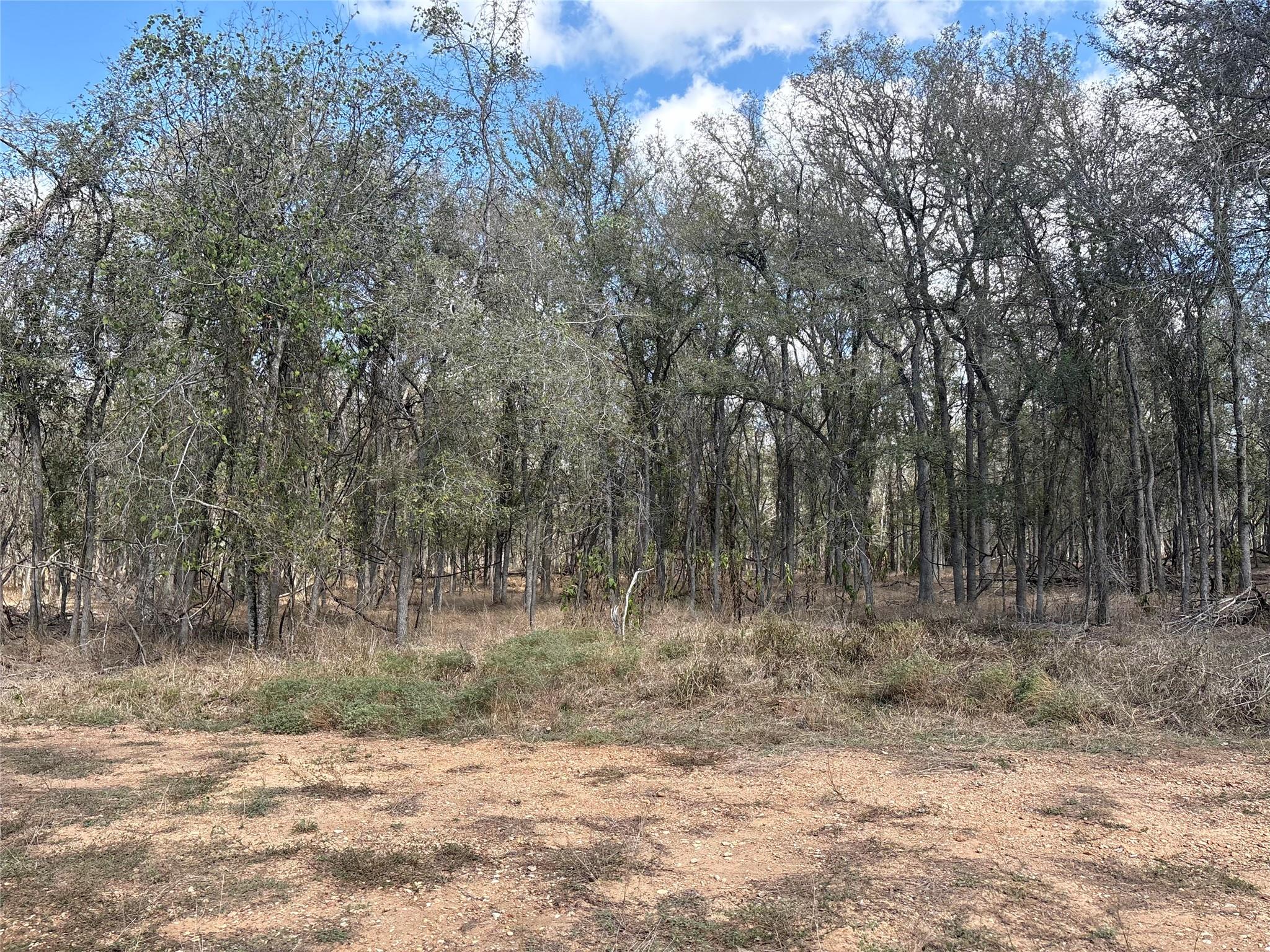 Listing photo 1 of 116 E Ahupu Ln